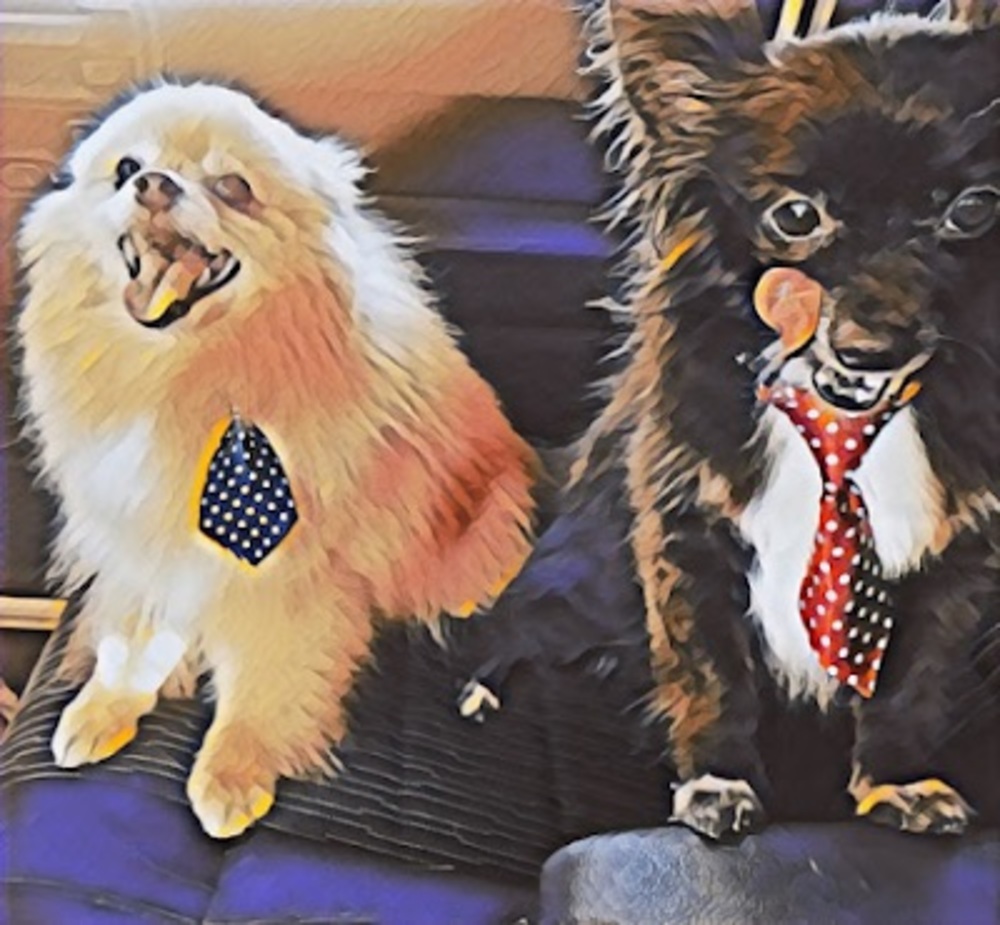 Meet your Posher, Barbara